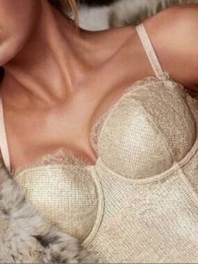 Victoria's Secret Dream Angel Corset Bra - NWT 34B